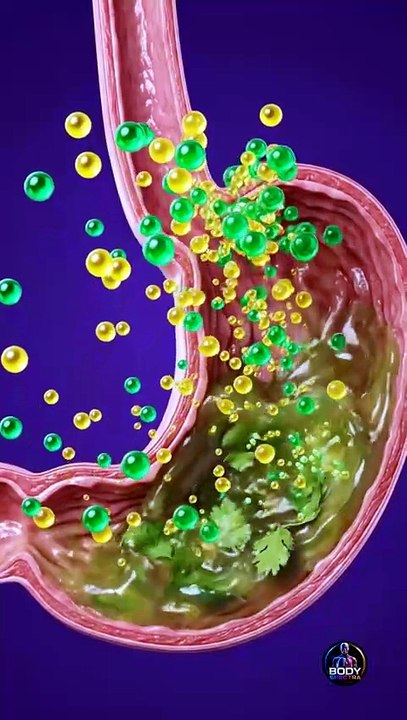 🌿 What really happens inside your body after eating coriander 🤯