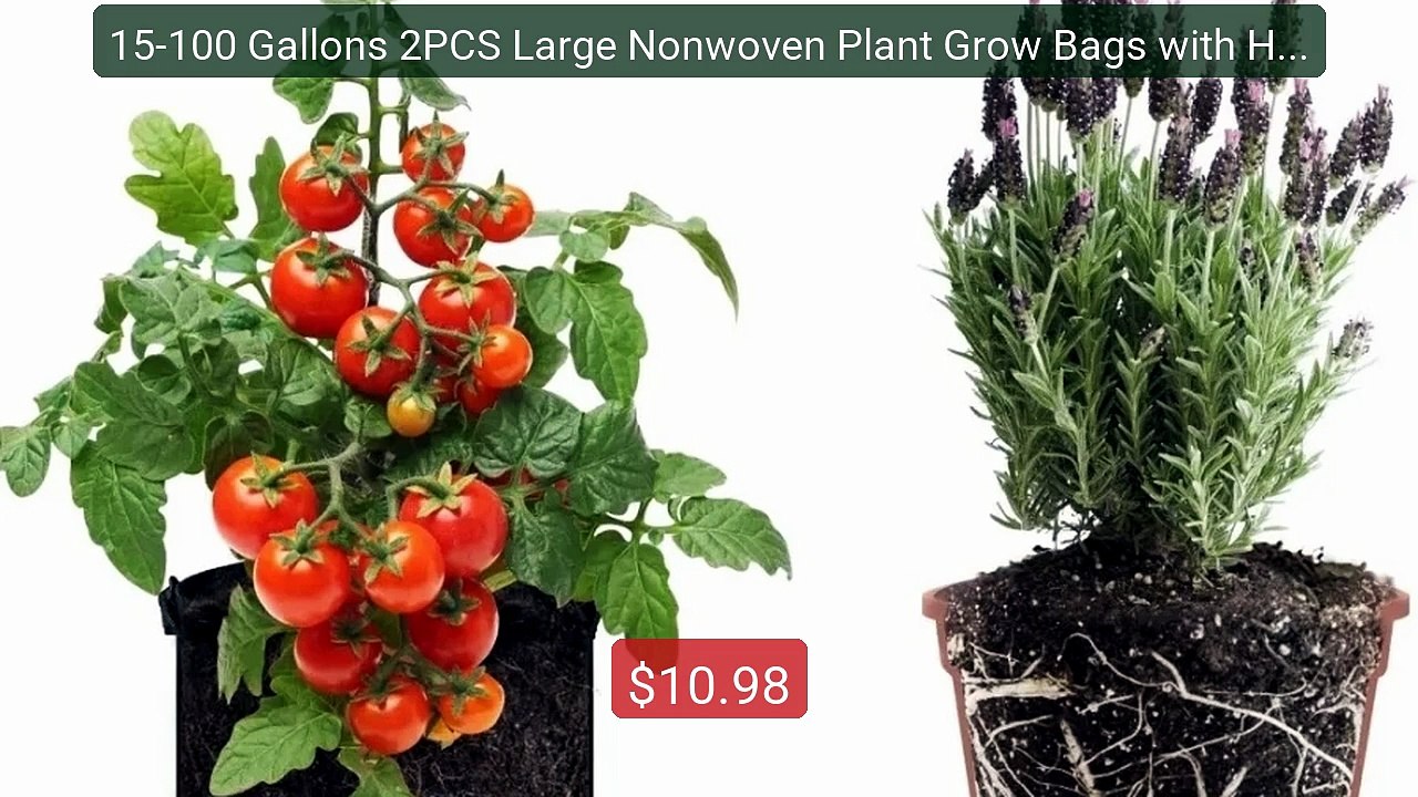 15-100 Gallons 2PCS Large Nonwoven Plant Grow Bags with Han... -- Top Pick 2026 | Unbeatable Price!
