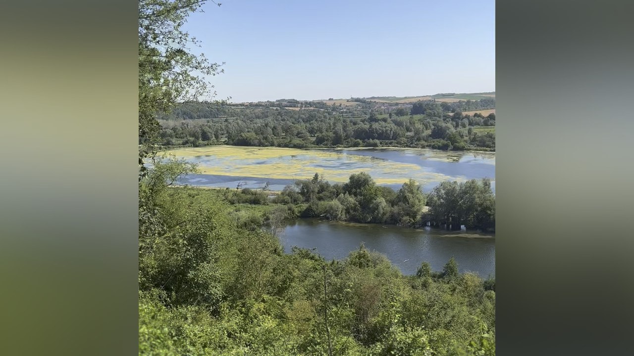 Les marécages