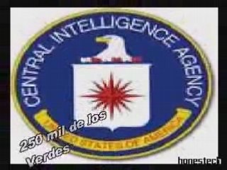 Pajarraco con el gocho