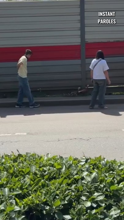 Ces deux personnes accompagnent une famille de canards jusqu’à un étang