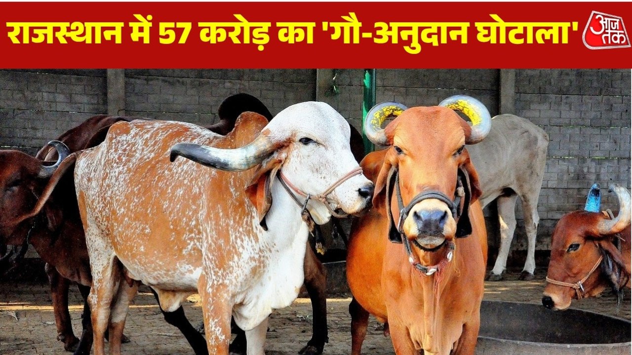 राजस्थान में गौ-अनुदान घोटाला, मरी हुई गायों के नाम पर डकारे करोड़ों, देखें खुलासा