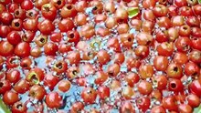 Viral food tips