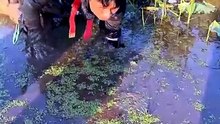 China wild fishing