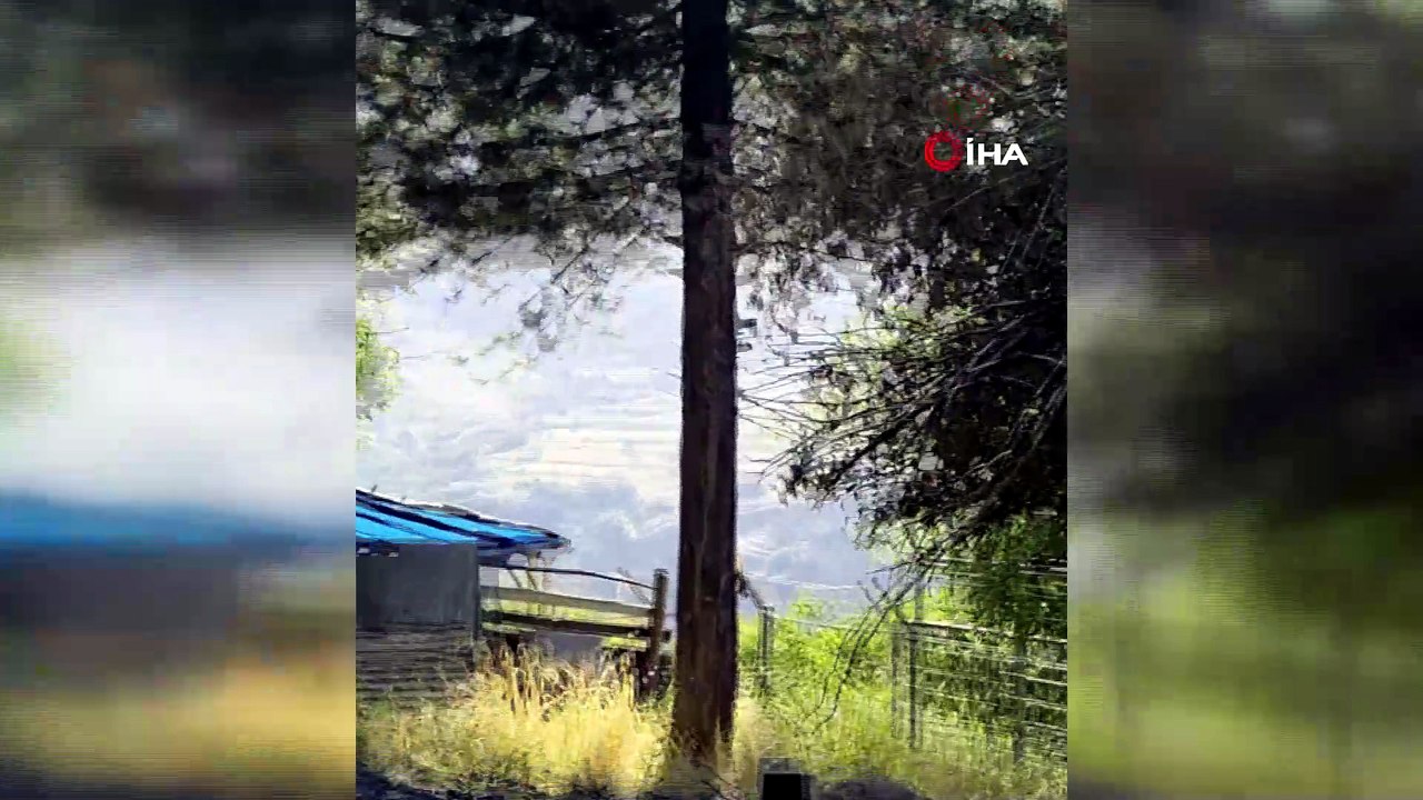 Tunceli'de sincapların sevimli halleri