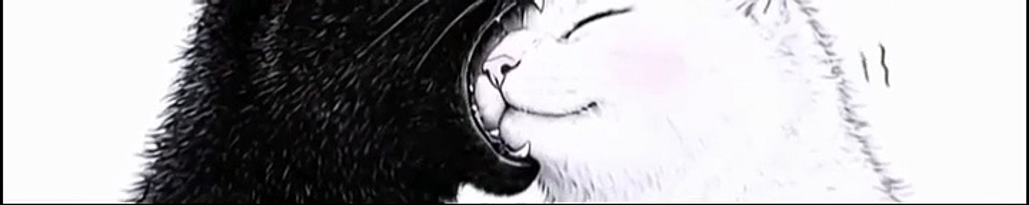 Tiny love bite. 🐾.(DOWN)