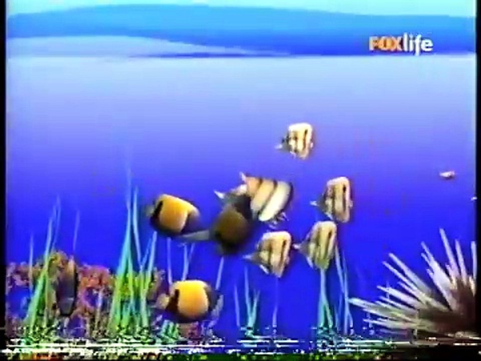 12. Magic Lantern - Bajo el agua - BabyTV