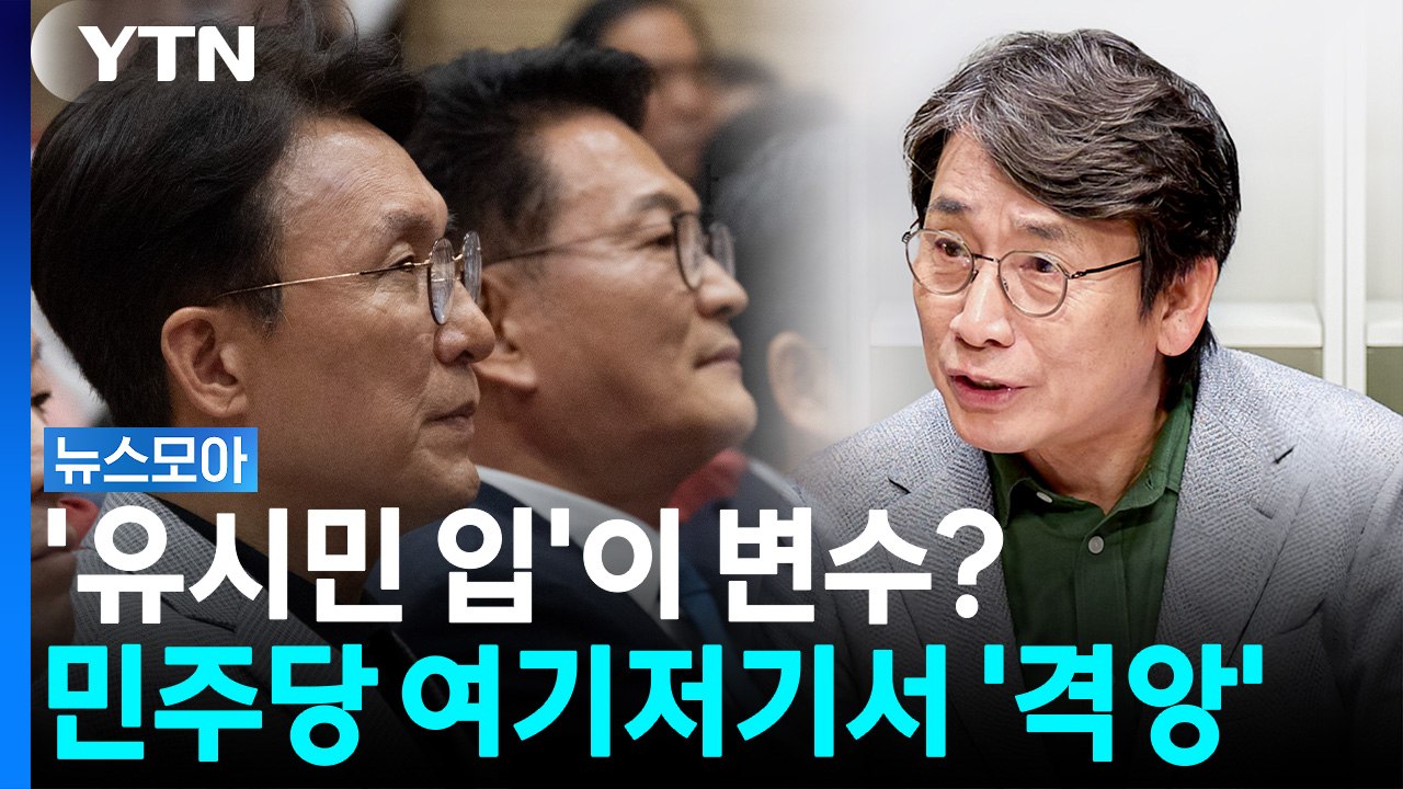 민주당 전당대회 변수는 유시민의 입? 여기저기 '격앙과 반발' [뉴스모아] / YTN