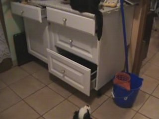 DUCKY FAIT DU CHARME A BALOU