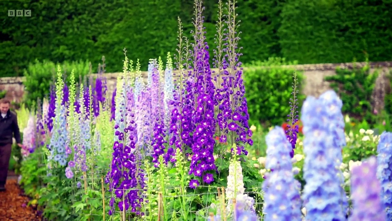 Gardeners' World Season 59 Episode 16