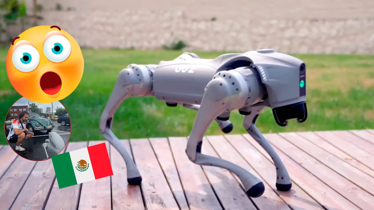 Mundial 2026: Tiktoker se viraliza por mexicanizar a perro robot: "Ching#$ a su madre el América"