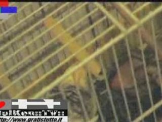 HulkeN - ''Medieval Relax'' (Sorry! with low sound quality)