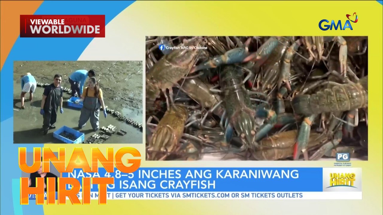 This Is Eat - Shaira Diaz, humuli ng crayfish sa Laguna | Unang Hirit