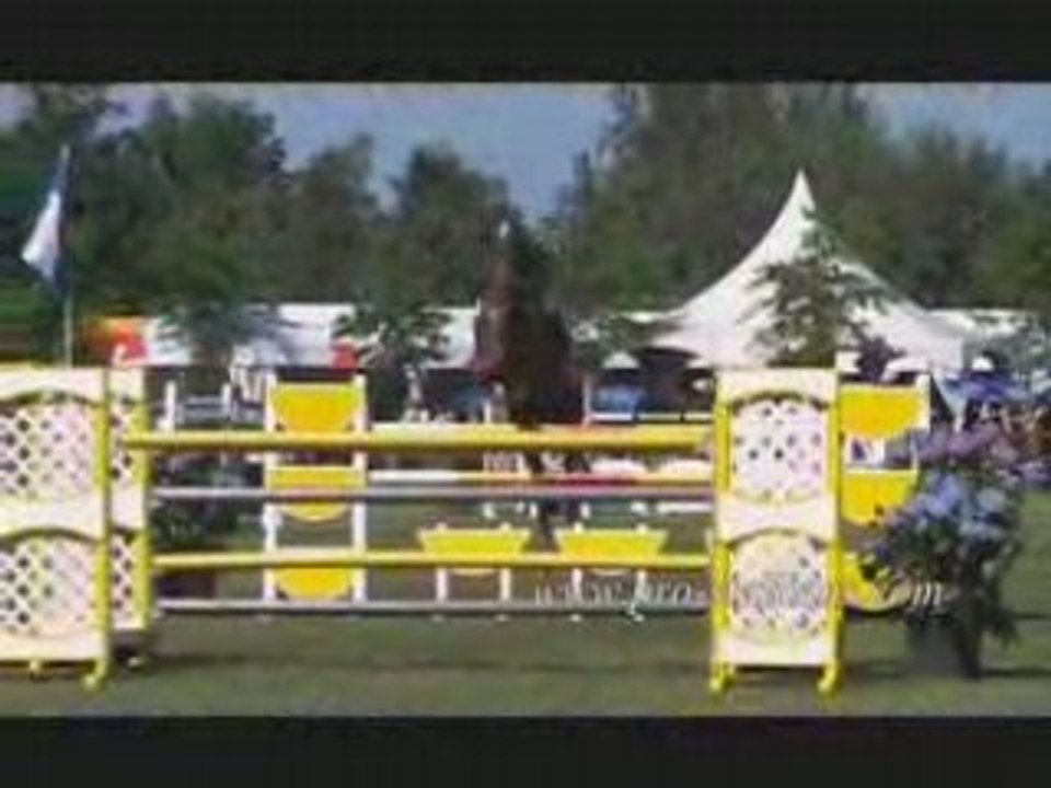 Show jumping