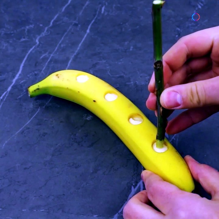 Growing roses with a unique item, bananas!🌹