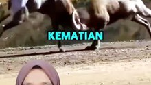 Education 2