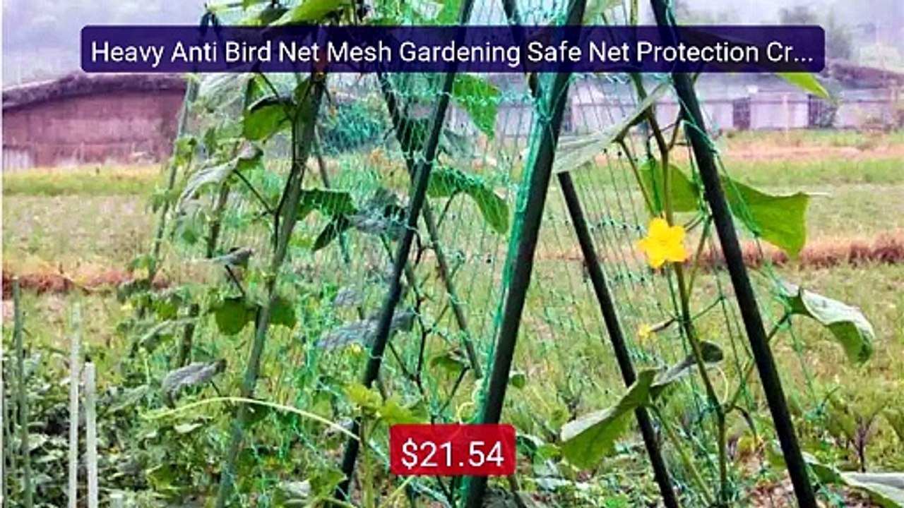 Heavy Anti Bird Net Mesh Gardening Safe Net Protection Crops P... -- Hot Deal 2026 | Limited Offer!