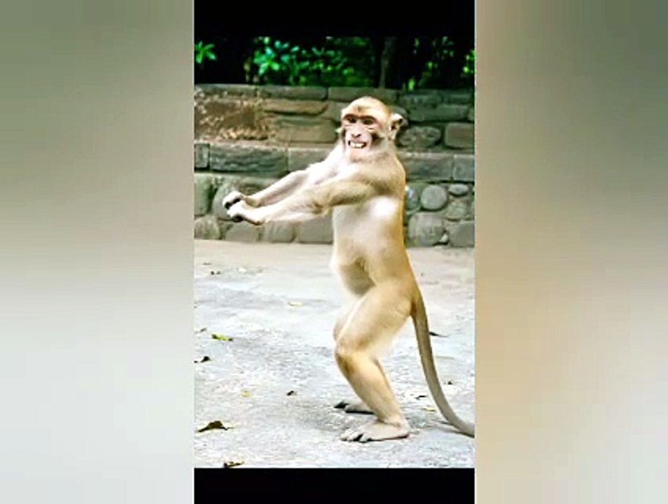 Dance Like This