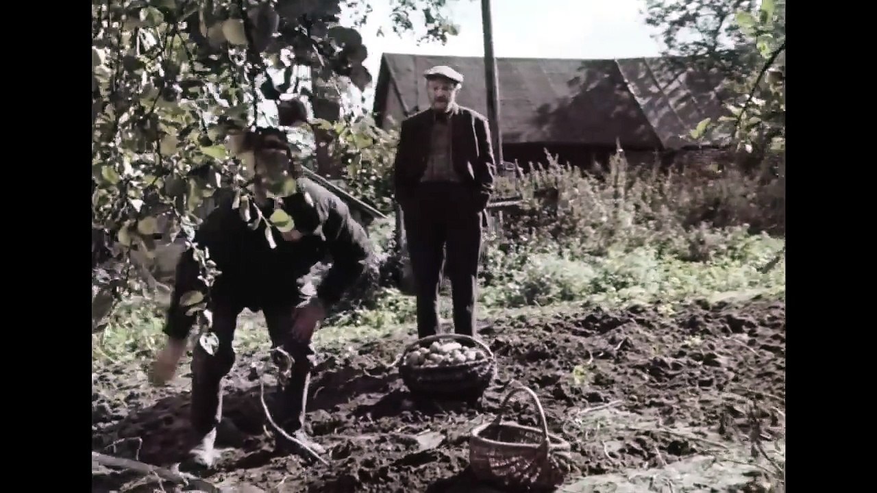 ОСЕННИЕ СНЫ. Трагикомедия