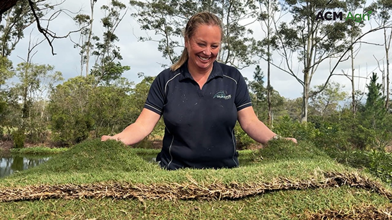 Meet the Queensland turf farmer supplying the Gabba and Allan Border Oval