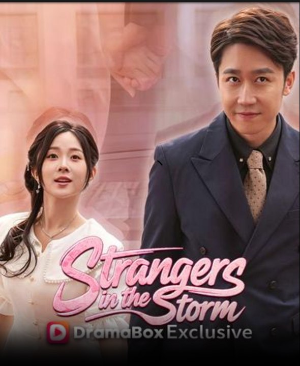 Strangers in the Storm Drama