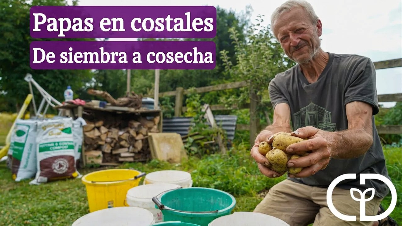 ¿Cuál composta hace crecer mejor las papas? Probamos 7 diferentes