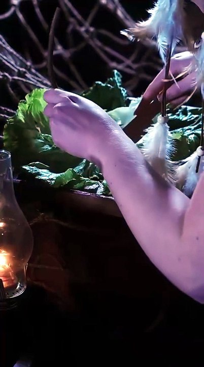 taste of the wild