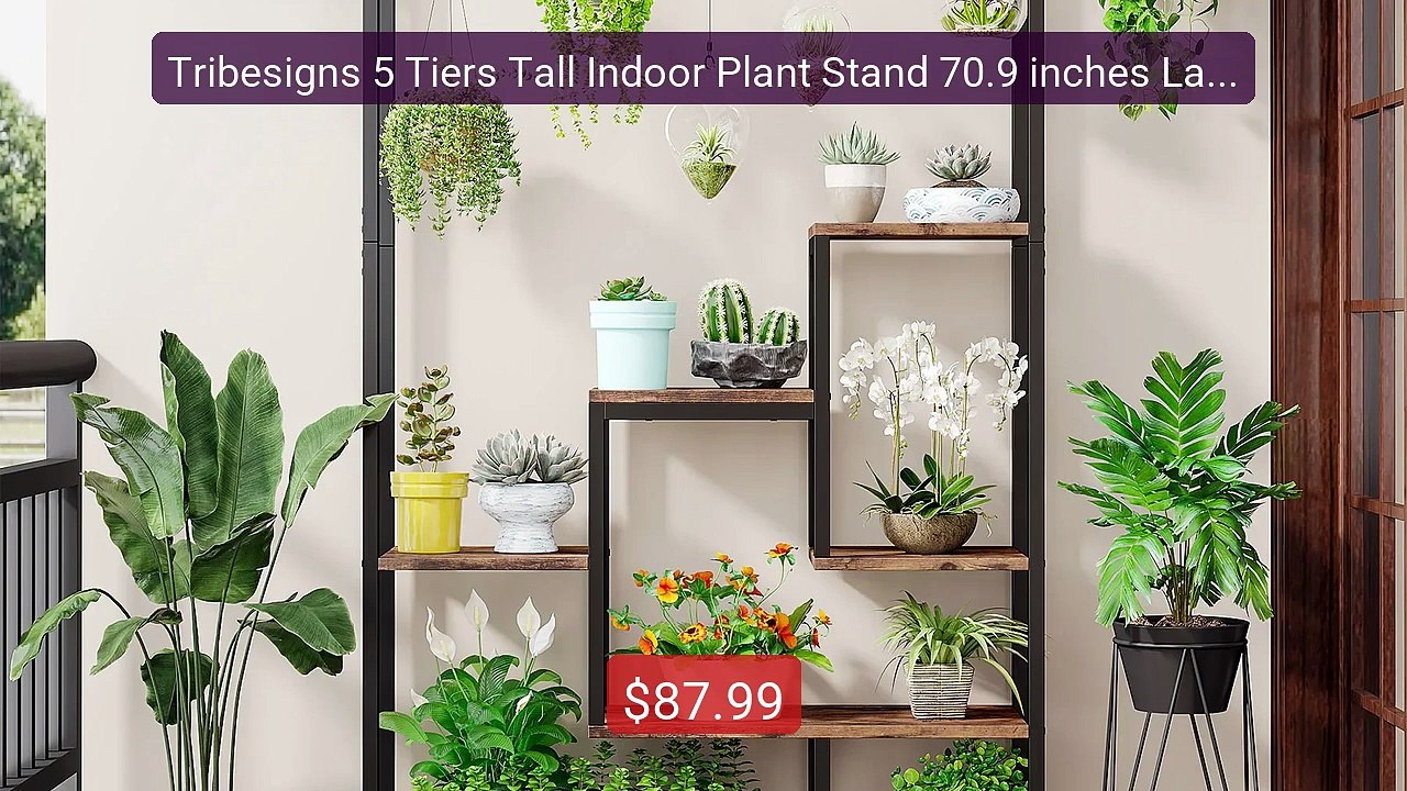 Tribesigns 5 Tiers Tall Indoor Plant Stand 70.9 inches Large M... -- Best Buy 2026 | Great Quality!