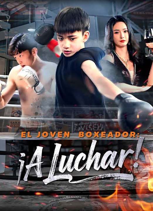 El Joven Boxeador: ¡A Luchar! | Drama Chino Deportivo Completo en Español | Drama Hub