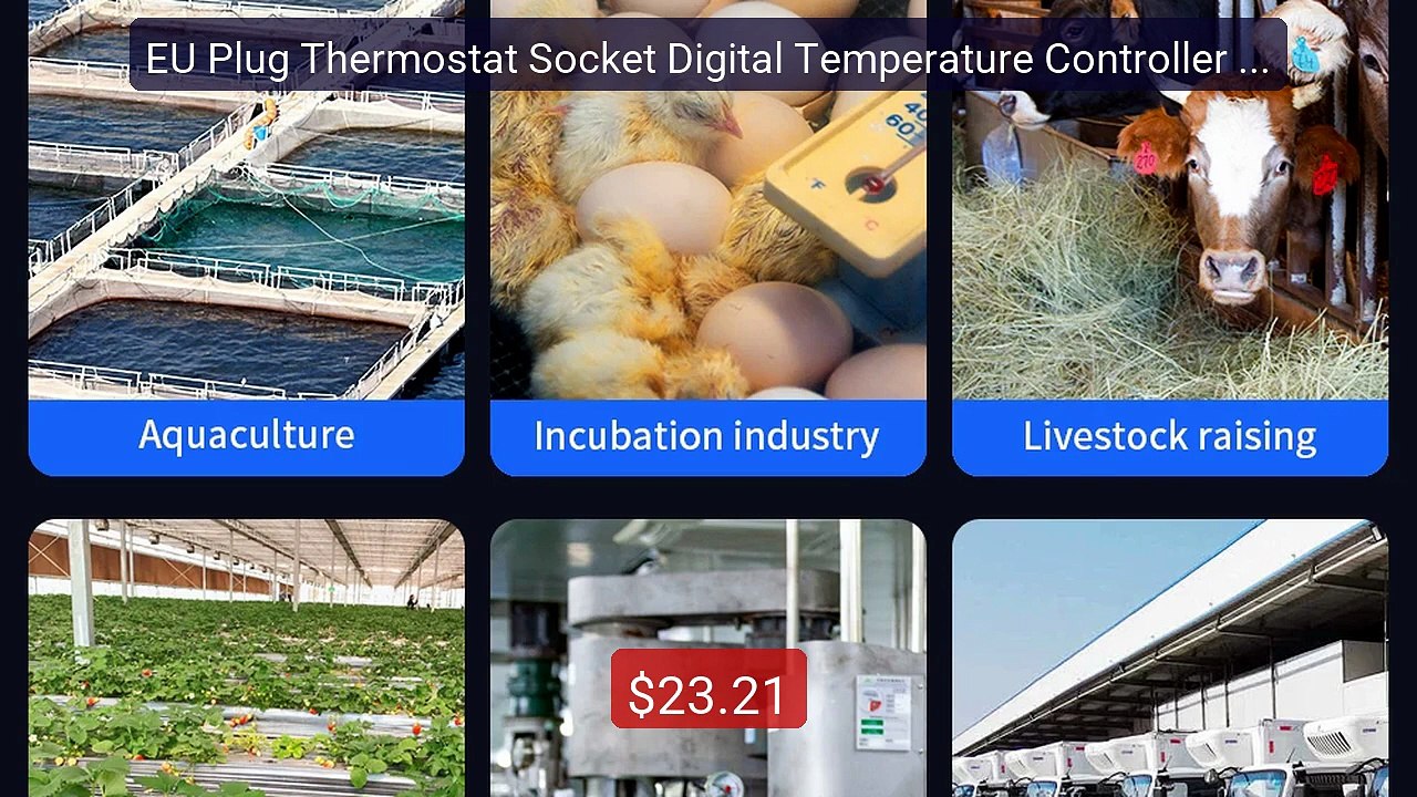 EU Plug Thermostat Socket Digital Temperature Controller Socket Ou... -- Best Deal 2026 | Shop Now!