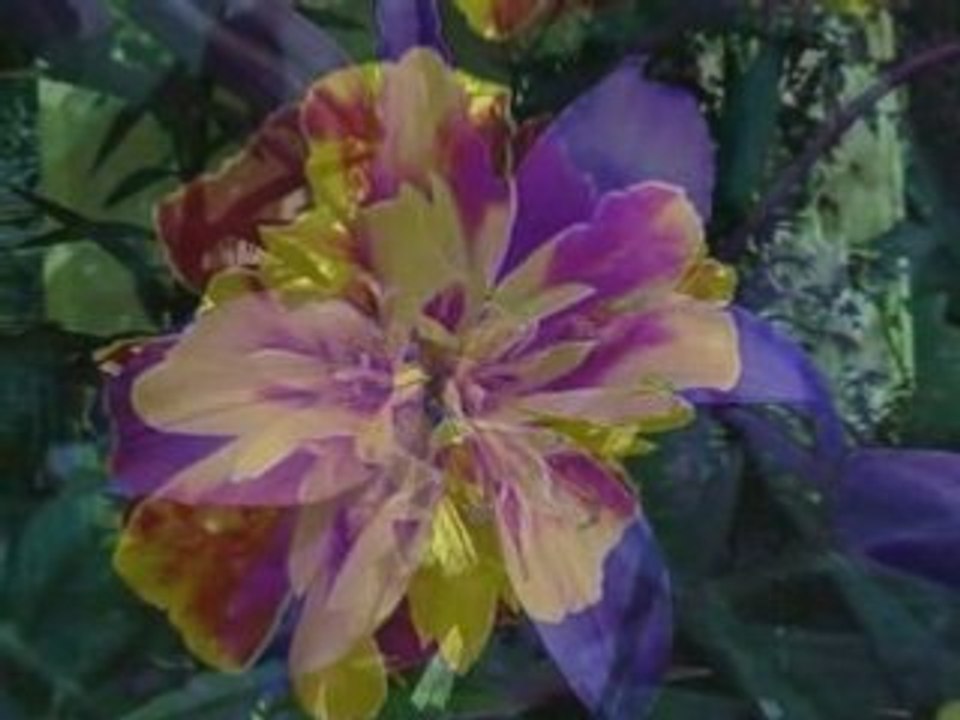 Dla Ciebie Moja Mamo