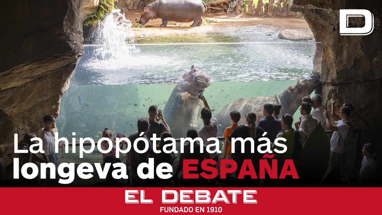 Fiesta de aniversario en Bioparc Valencia por los 44 años de la hipopótama más longeva de España