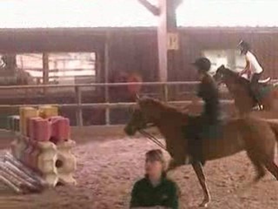 Saut d'obstacles !!!