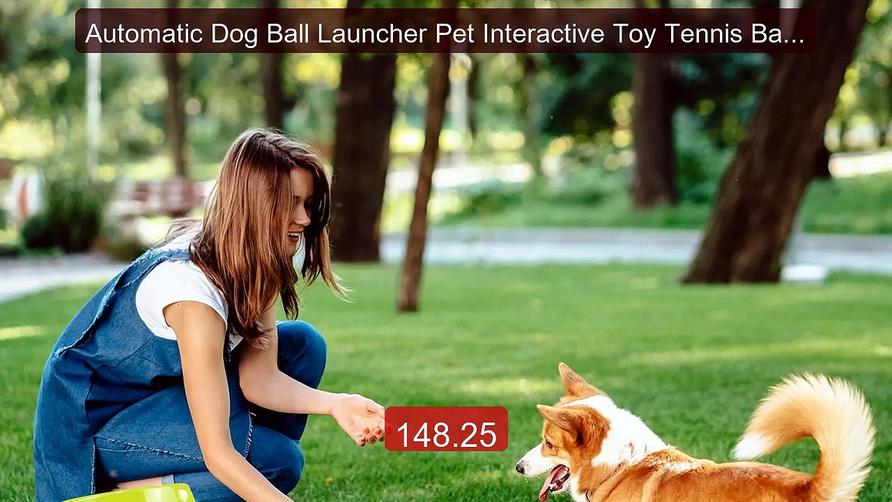 Automatic Dog Ball Launcher Pet Interactive Toy Tennis Ball Launch... -- Best Deal 2026 | Shop Now!