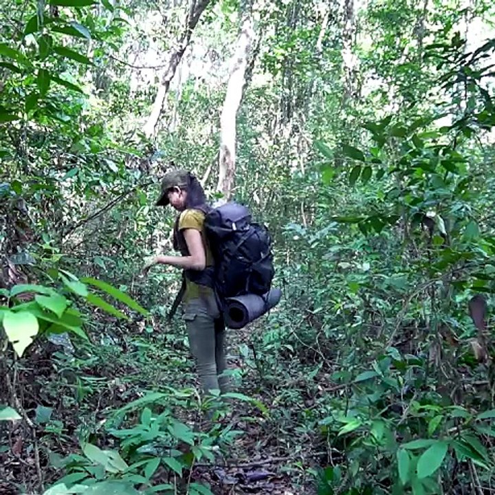 Amazing girl building beautiful Bushcraft shelter for Solo Alone in jungle At Raining Season