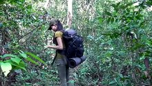 Amazing girl building beautiful Bushcraft shelter for Solo Alone in jungle At Raining Season