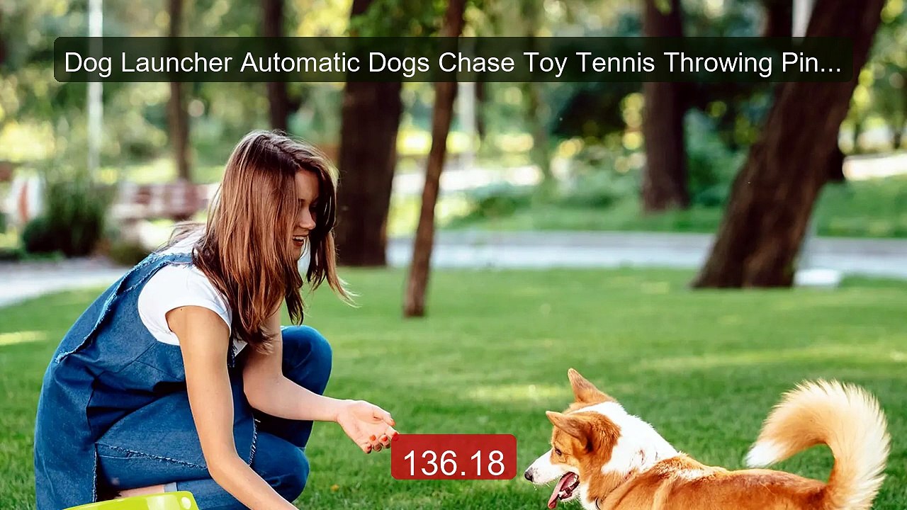 Dog Launcher Automatic Dogs Chase Toy Tennis Throwing Pinball ... -- Hot Deal 2026 | Limited Offer!