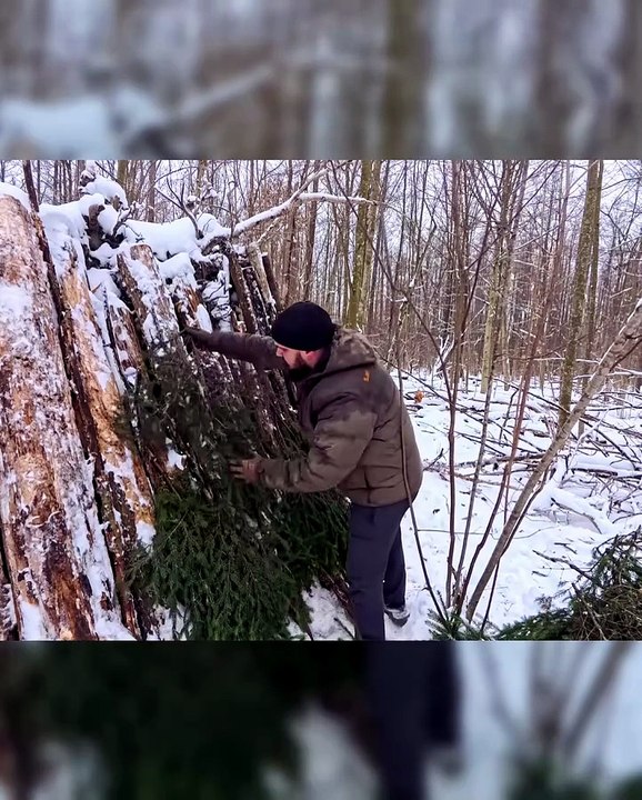 Building a cozy winter shelter under tree roots, ice fishing.