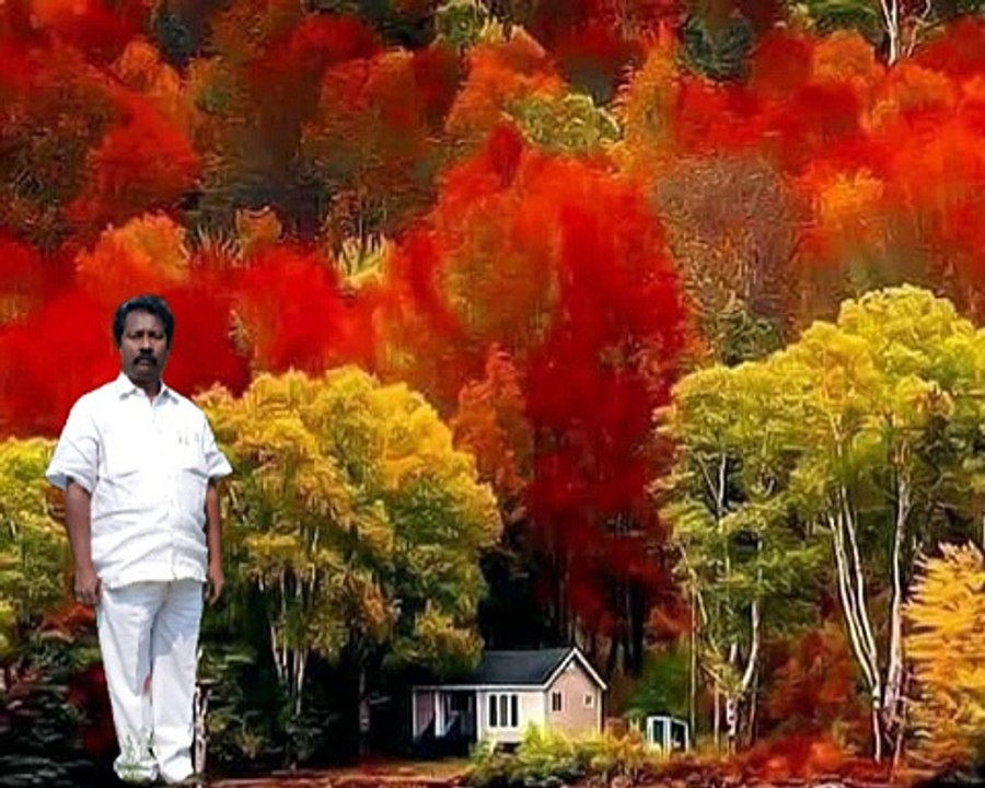 AADANANTE AMBO
