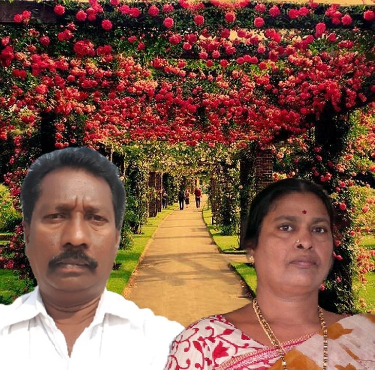 Aadaneevu Eedaneevu