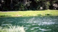 Musique Relaxante & Sons de Rivière Sommeil, Méditation Anti Stress