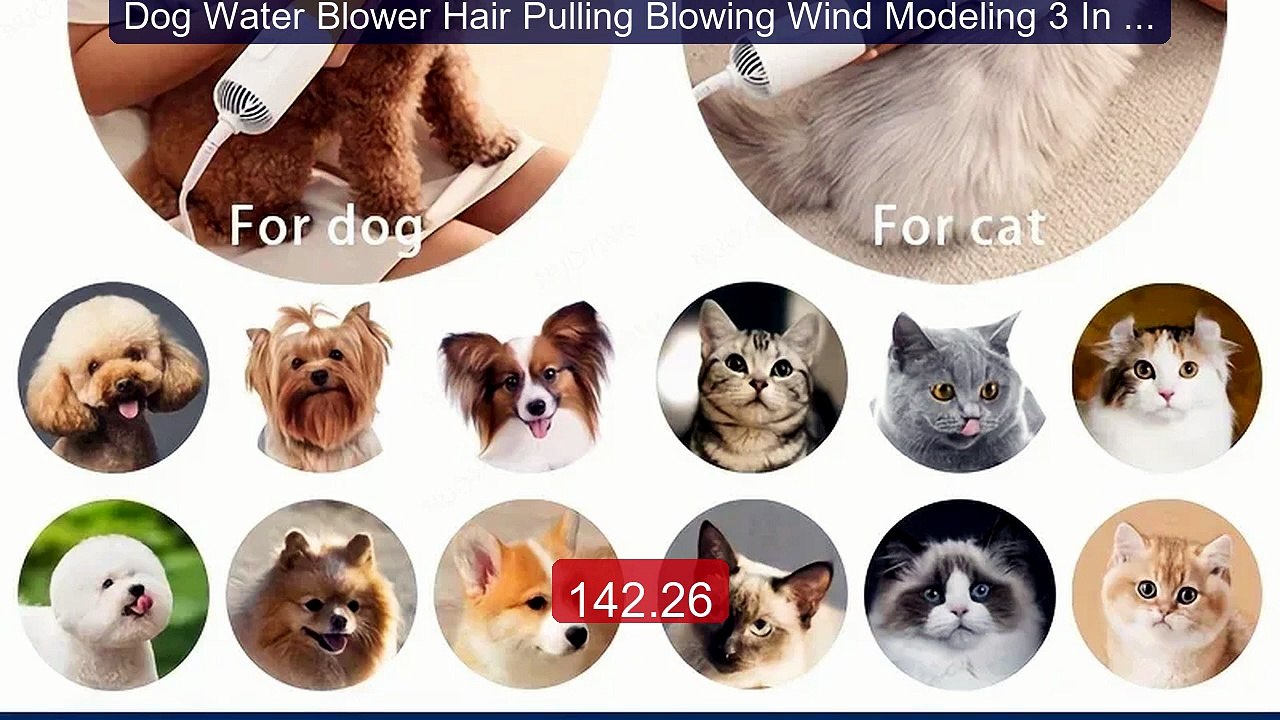 Dog Water Blower Hair Pulling Blowing Wind Modeling 3 In 1 ... -- Top Pick 2026 | Unbeatable Price!