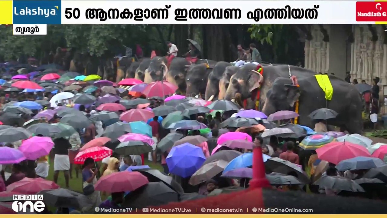 കോരിച്ചൊരിയുന്ന മഴയെത്തും തൃശ്ശൂർ വടക്കുന്നാഥ ക്ഷേത്രത്തിലെ ആനയൂട്ടിന് എത്തിയത് ആയിരങ്ങൾ