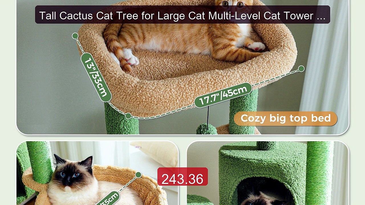Tall Cactus Cat Tree for Large Cat Multi-Level Cat Tower for I... -- Best Buy 2026 | Great Quality!