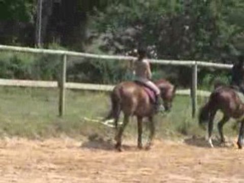 cours cheval (14h) du 05.07.08
