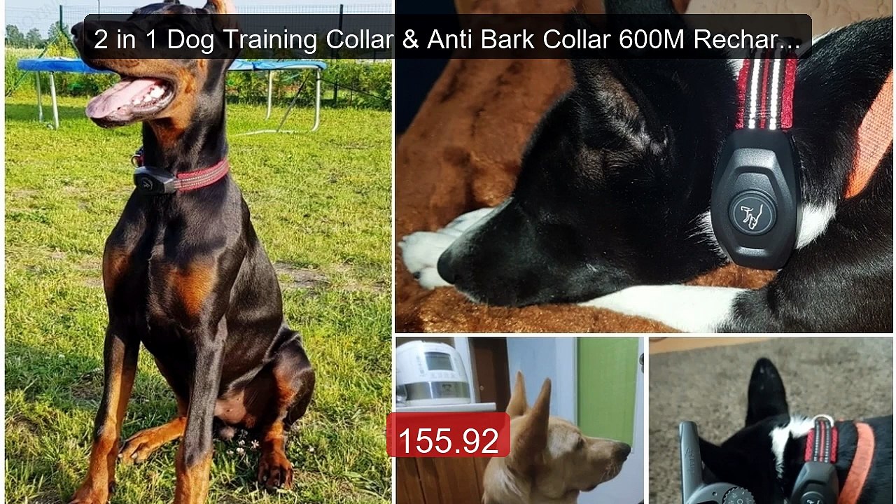 2 in 1 Dog Training Collar & Anti Bark Collar 600M Rechargeab... -- Amazing Value 2026 | Must Have!