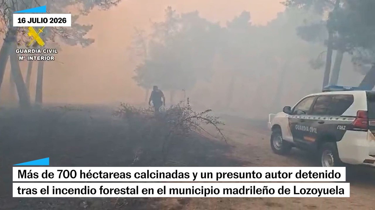 El incendio forestal en el municipio madrileño de Lozoyuela