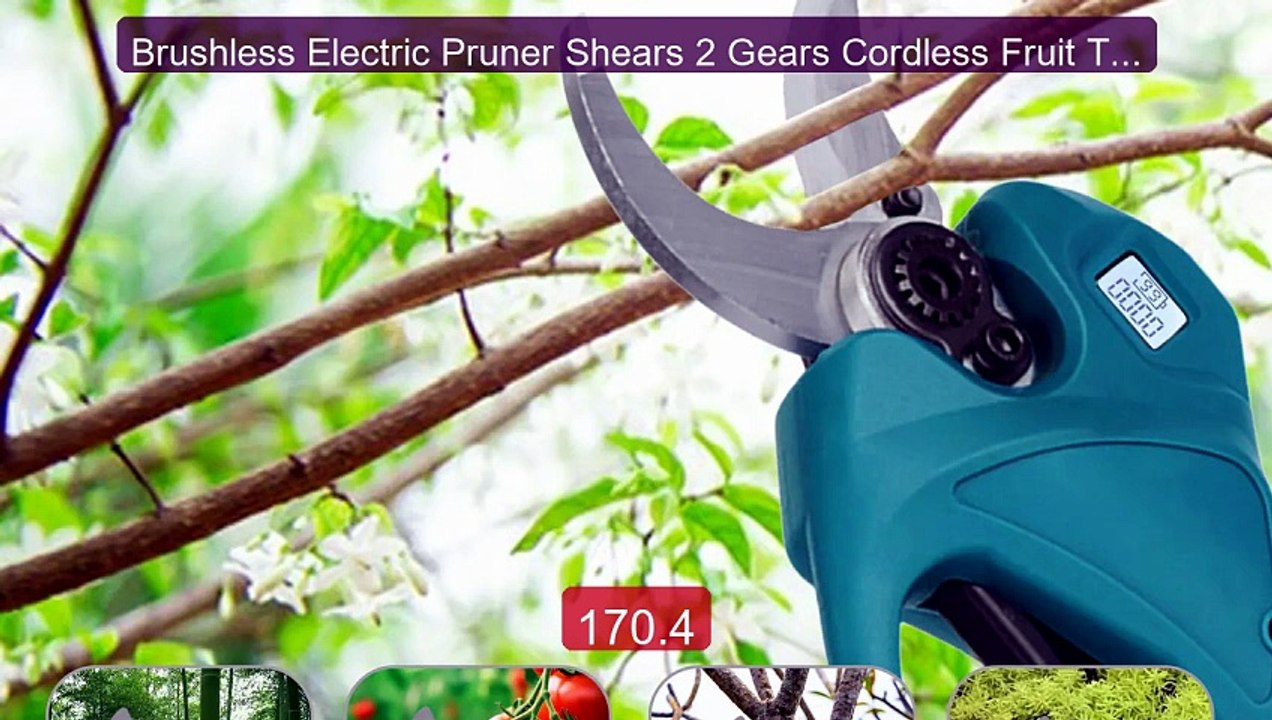 Brushless Electric Pruner Shears 2 Gears Cordless Fruit Tree ... -- Amazing Value 2026 | Must Have!