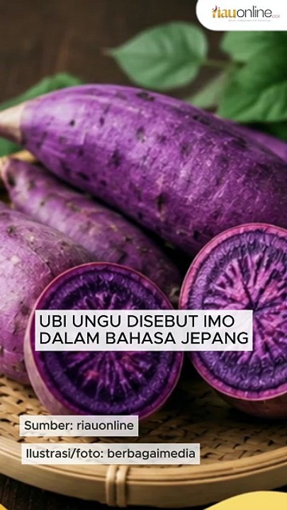 Rahasia Umur Panjang Orang Jepang, Ini 7 Makanan-Minuman yang Dikonsumsi