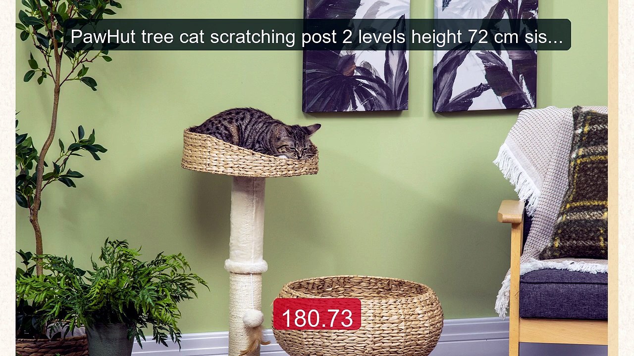 PawHut tree cat scratching post 2 levels height 72 cm sisal... -- Top Pick 2026 | Unbeatable Price!